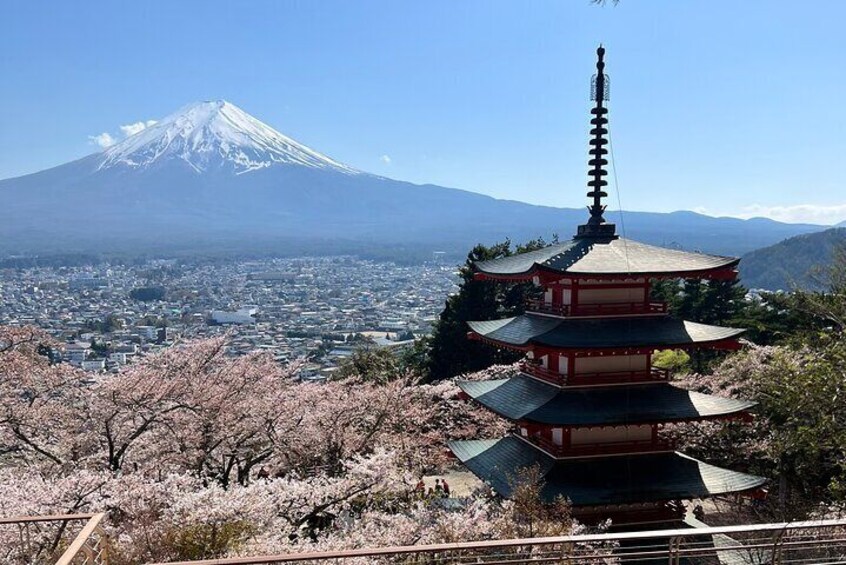 Full Day Private Tour in Mount Fuji and Hakone