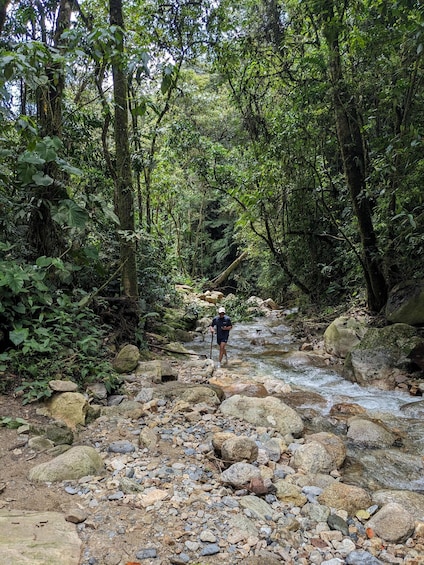 Picture 24 for Activity Medellín: Jungle Hike in El Salado with Waterfall
