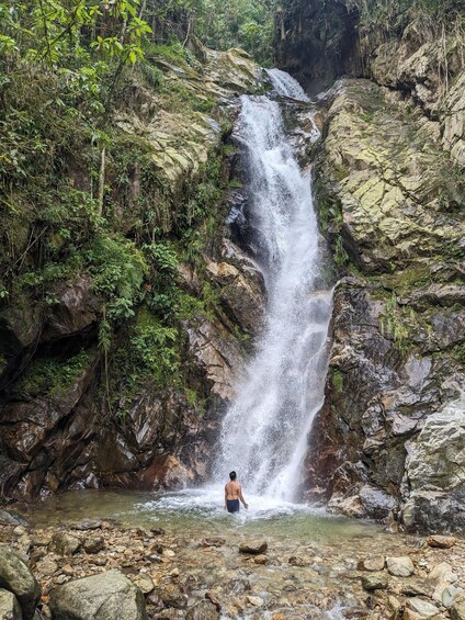 Picture 5 for Activity Medellín: Jungle Hike in El Salado with Waterfall