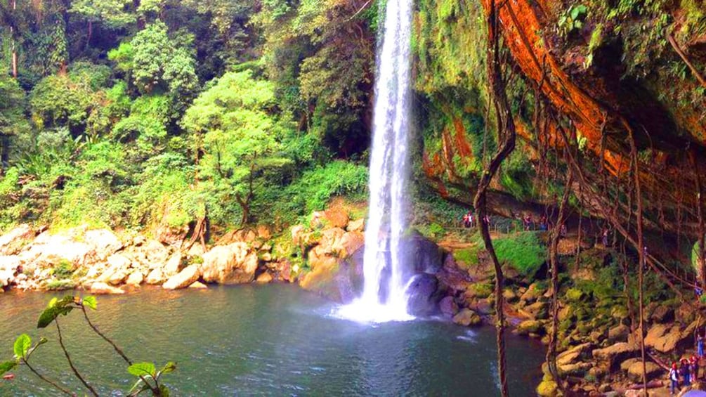 Cascadas de Misol-Ha, Chiapas