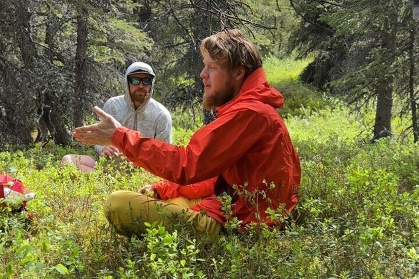 Half Day Denali Survival Hike and Workshop