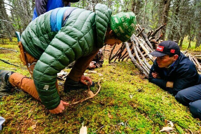 4 Hour Denali Hiking and Survival Excursion
