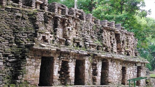 Tour por cuenta propia en Yaxchilán y Bonampak