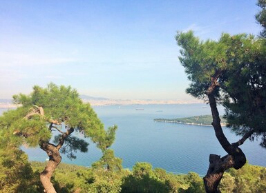 Istanbul : Excursion d'une journée aux îles des Princes