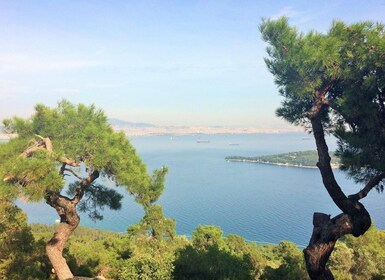 Istanbul : Excursion d'une journée aux îles des Princes