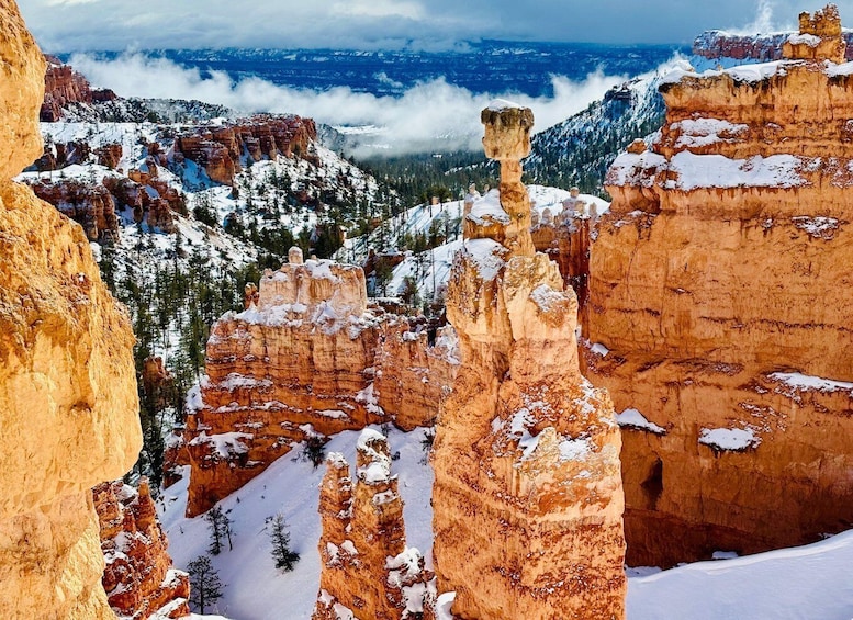 Bryce Canyon National Park: Guided Hike and Picnic