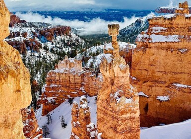 Bryce Canyon National Park: Guided Hike and Picnic