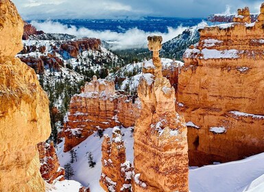 Parque Nacional Bryce Canyon: caminata guiada y picnic