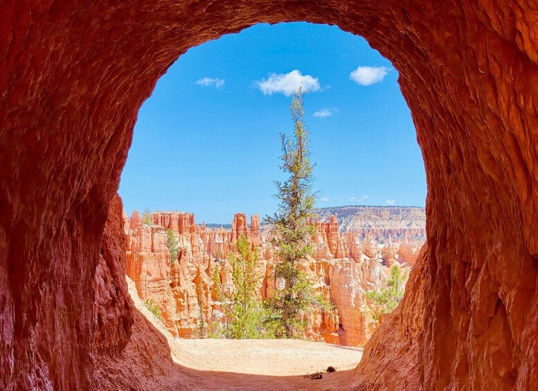 Picture 1 for Activity Bryce Canyon National Park: Guided Hike and Picnic