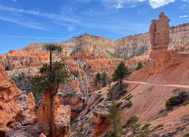 Picture 2 for Activity Bryce Canyon National Park: Guided Hike and Picnic