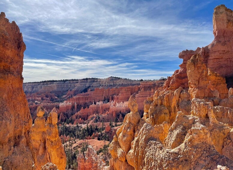 Picture 4 for Activity Bryce Canyon National Park: Guided Hike and Picnic