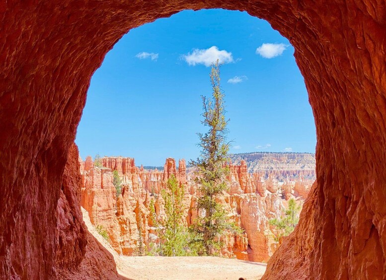 Picture 1 for Activity Bryce Canyon National Park: Guided Hike and Picnic