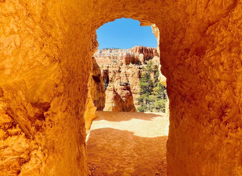 Picture 3 for Activity Bryce Canyon National Park: Guided Hike and Picnic