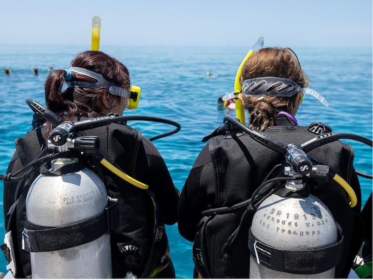 4 Day PADI Learn to Dive Open Water Course