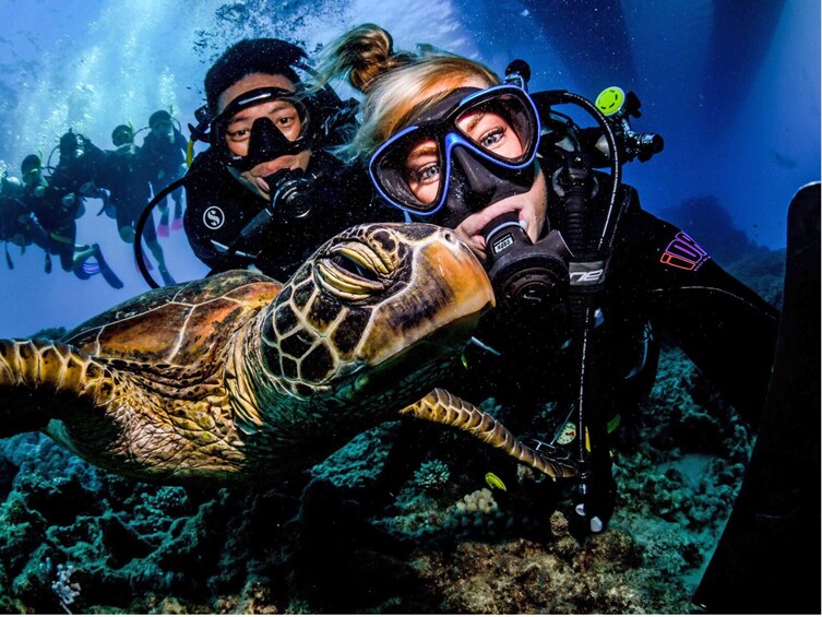 4 Day PADI Learn to Dive Open Water Course