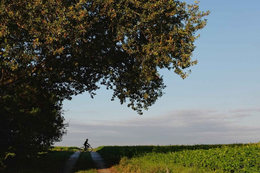 Picture 1 for Activity From Brussels to Flanders 100km road cycling tour