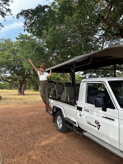 Chobe National Park: 3-Hour Game Drive