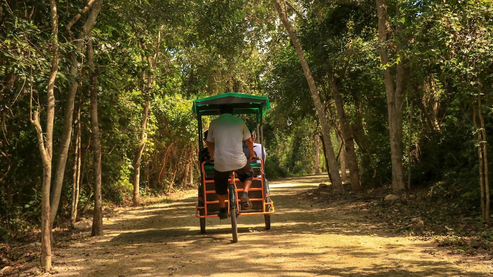 Picture 4 for Activity From Mérida: Farming, Cenote, and Ek Balam Pyramids Tour