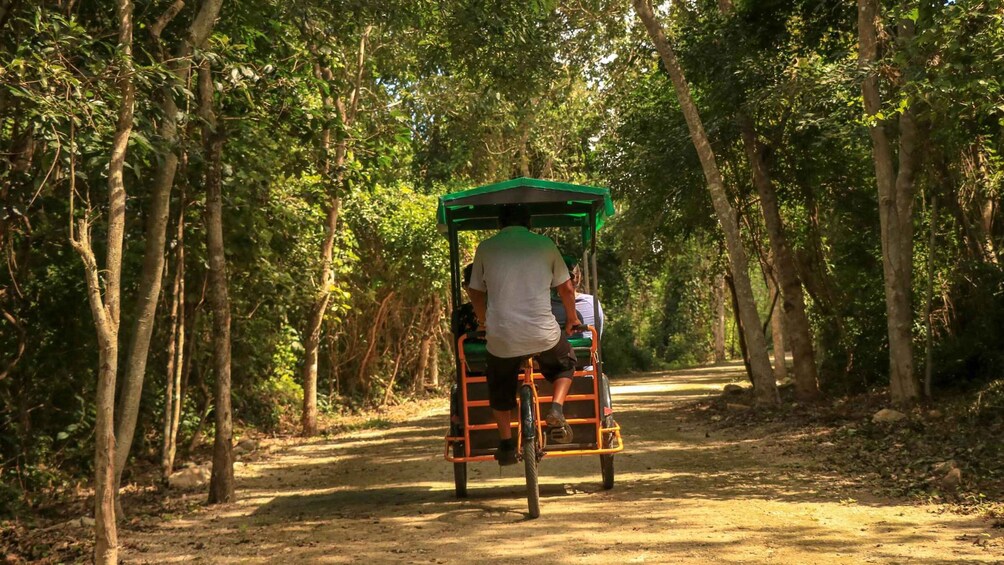 Picture 4 for Activity From Mérida: Farming, Cenote, and Ek Balam Pyramids Tour