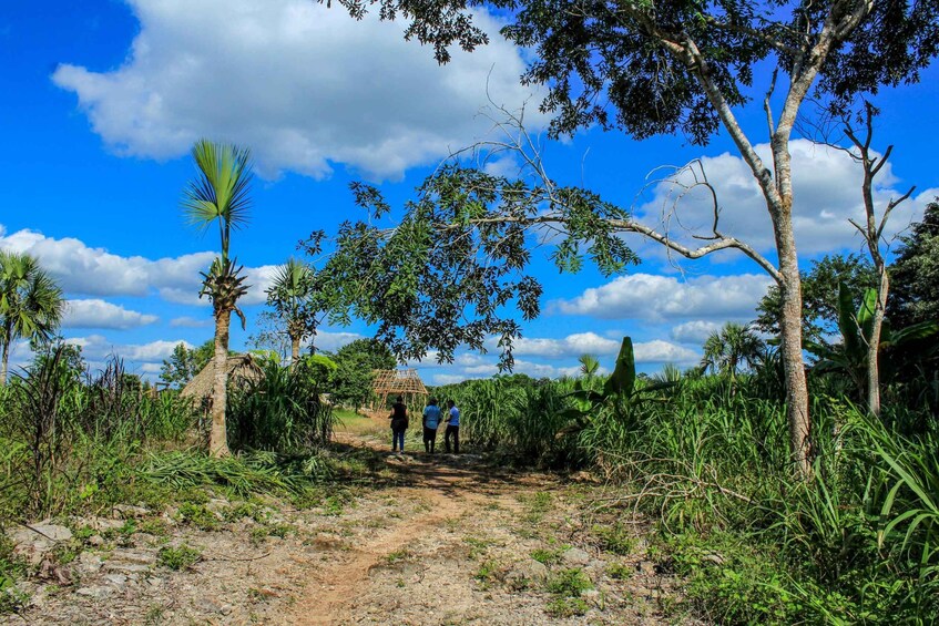 Picture 5 for Activity From Mérida: Farming, Cenote, and Ek Balam Pyramids Tour