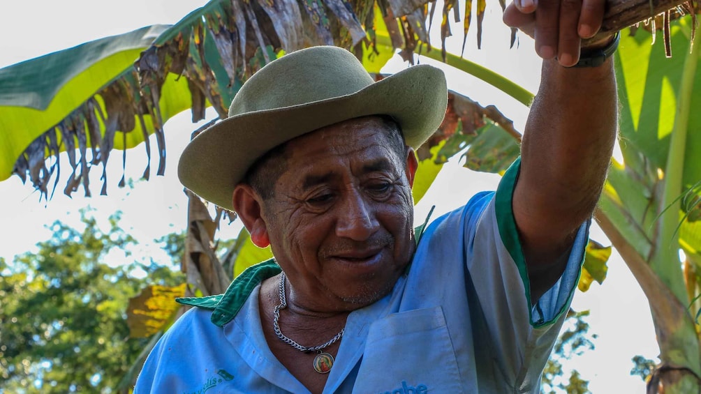 Picture 1 for Activity From Mérida: Farming, Cenote, and Ek Balam Pyramids Tour