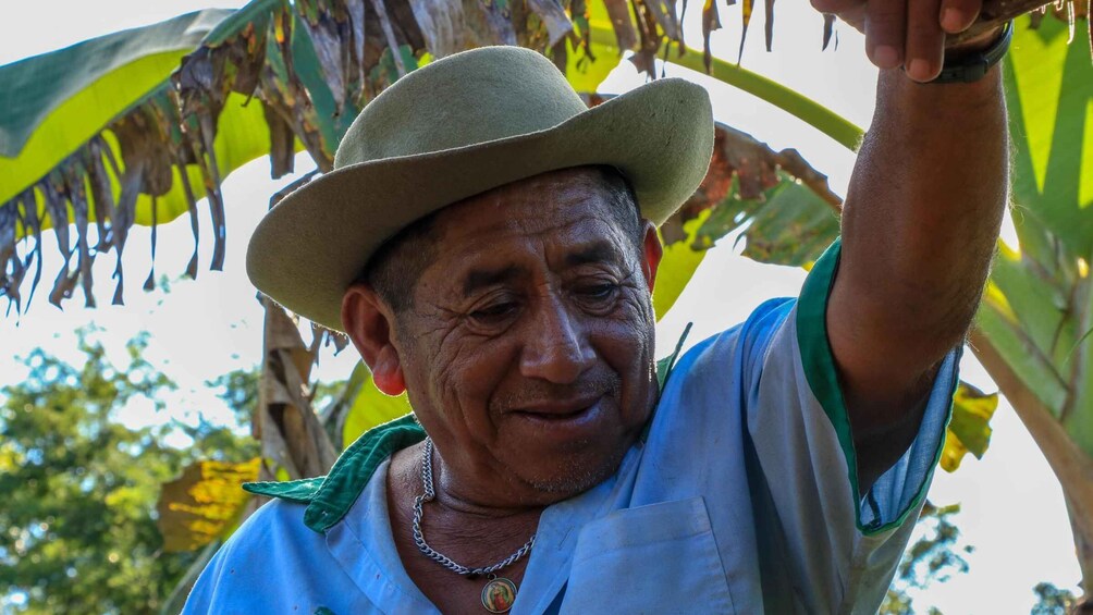 Picture 1 for Activity From Mérida: Farming, Cenote, and Ek Balam Pyramids Tour