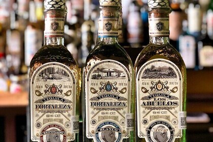 Tasting of Different Types of Tequila in San Miguel de Allende