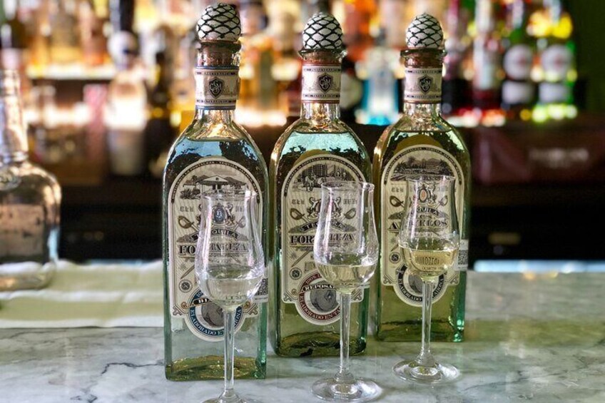 Tasting of Different Types of Tequila in San Miguel de Allende