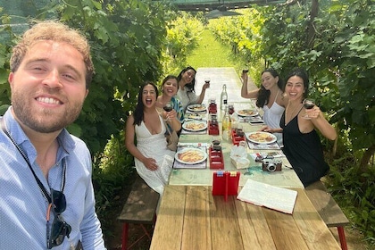 Tasting in a Tuscan Vineyard with transfer from Pisa