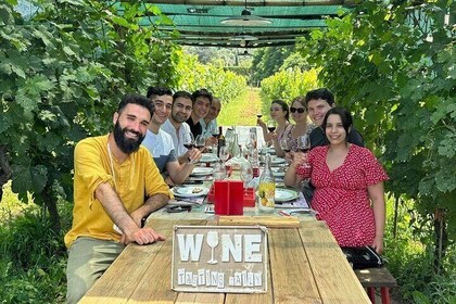 Tasting in a Tuscan Vineyard with transfer from Pisa