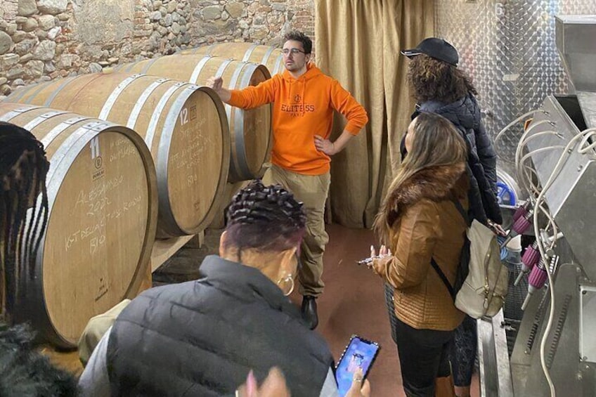 Tasting in a Tuscan Vineyard with transfer from Pisa