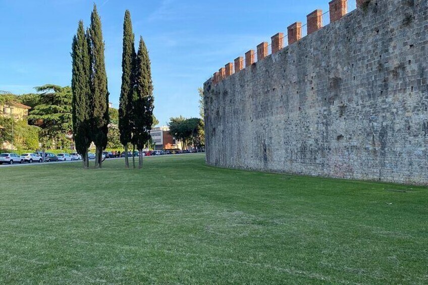 Lucca City Tour and Pisa Tower with Wine Tasting in Livorno Port