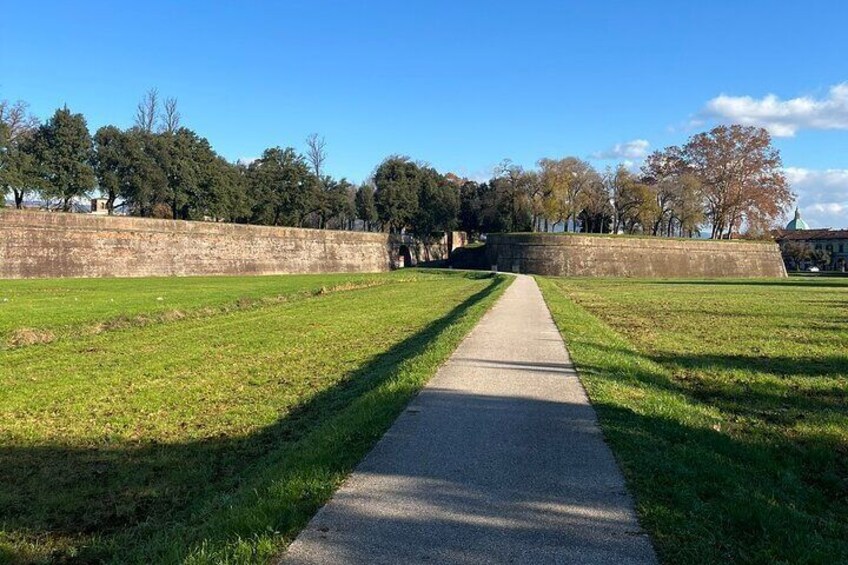 Lucca City Tour and Pisa Tower with WineTasting from Livorno Port