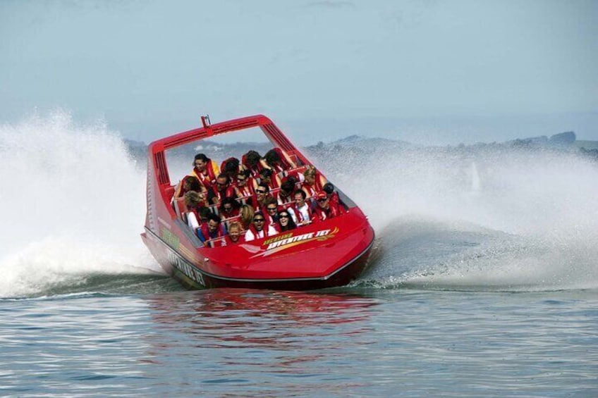 Auckland City Scenic Jetboat Thrill Ride