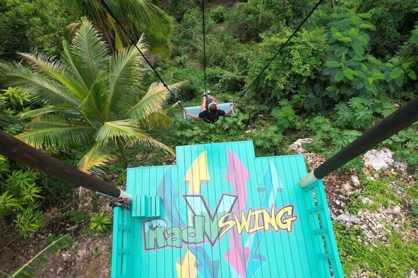 Bali Style Swing and Dunn's River Falls