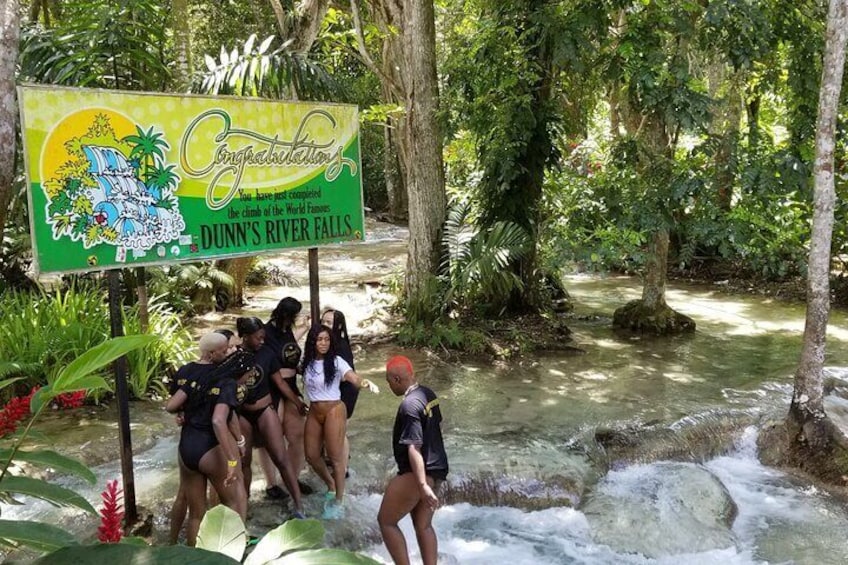 Bali Style Swing and Dunn's River Falls