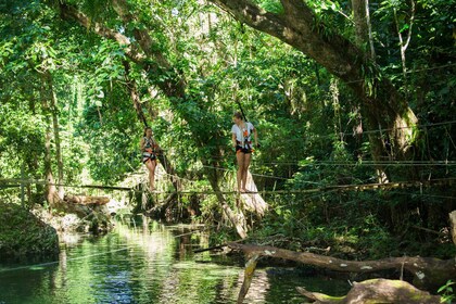 Puentes del Edén: Paseo de 2 horas por la selva, baño y tirolina