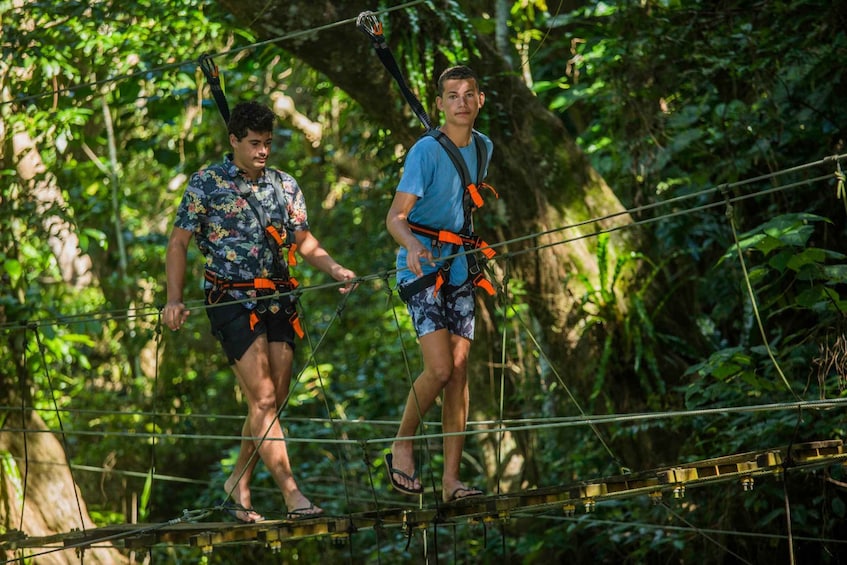 Picture 1 for Activity Bridges of Eden: 2-Hour Rainforest Walk, Swim, & Zip Line