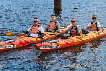 Kayak Tour in Copenhagen Harbour in May and September