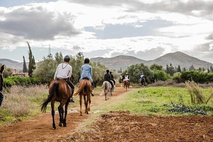 Private Horseback Ride at Sunset in Hammamet