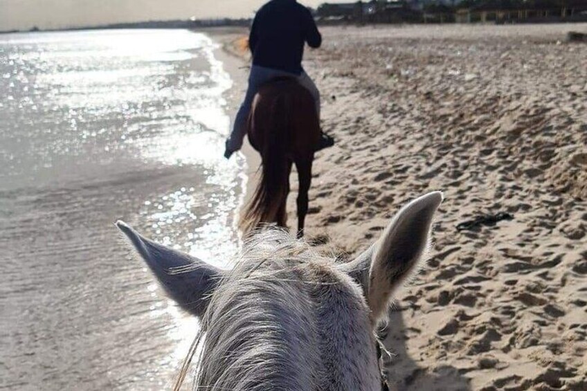 Private Horseback Ride at Sunset in Hammamet