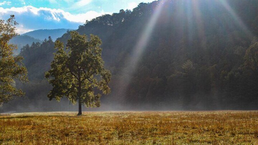 Smoky Mountains