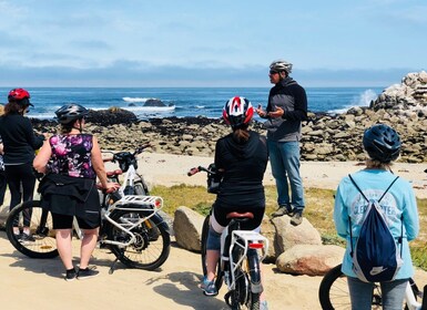 Monterey: Half-Day Electric Bike Rental
