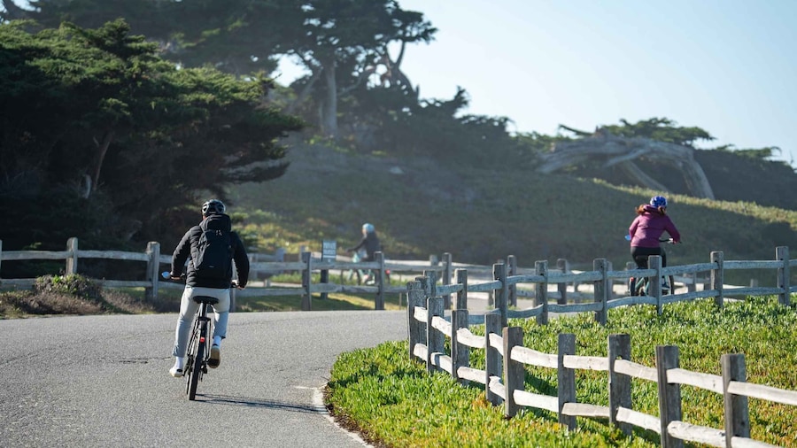 Monterey: Half-Day Electric Bike Rental