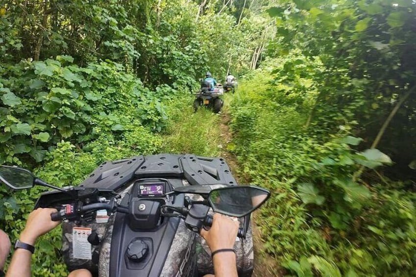 Guided tour of the island and its escapades in Tahaa in Quad