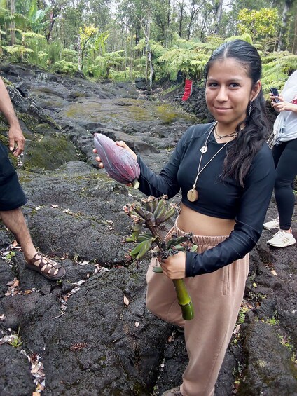 Experience Banana Cultivation in the Hawaiian Rainforest