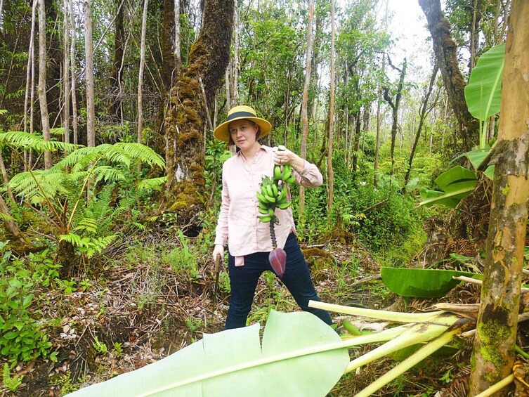Experience Banana Cultivation in the Hawaiian Rainforest