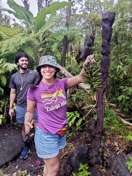 Experience Banana Cultivation in the Hawaiian Rainforest