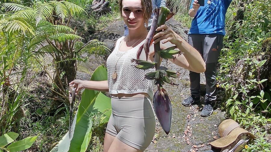 Experience Banana Cultivation in the Hawaiian Rainforest