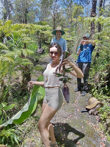 Experience Banana Cultivation in the Hawaiian Rainforest